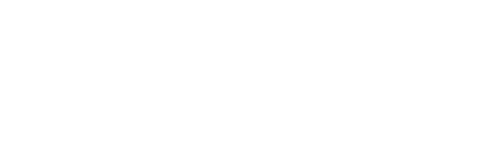 DPIplex