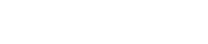 Payplex