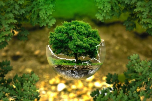 ¿Cómo cuidar nuestro medio ambiente con el método de las 3 R?