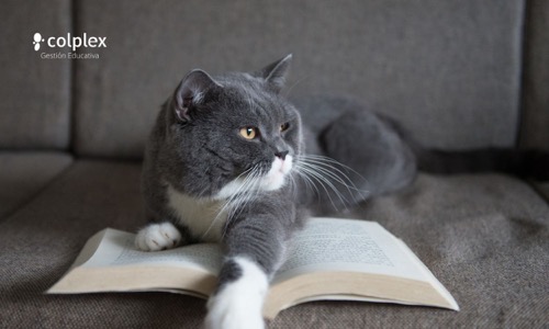Día del Libro: Celebrando la Lectura y el Conocimiento